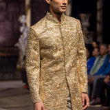 Champagne Zari Sherwani